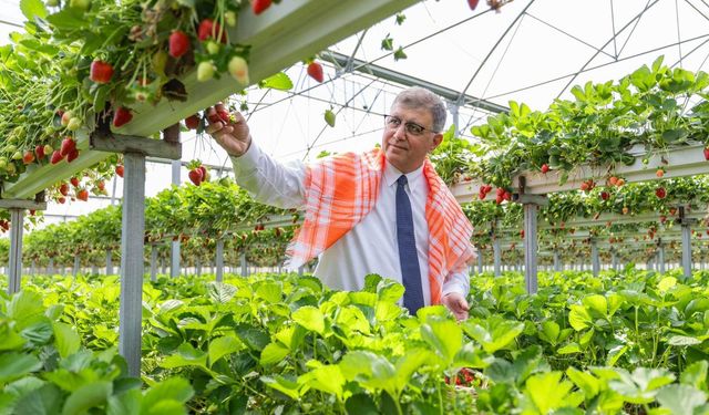 Sofrada adalet için İzmir hamlesi