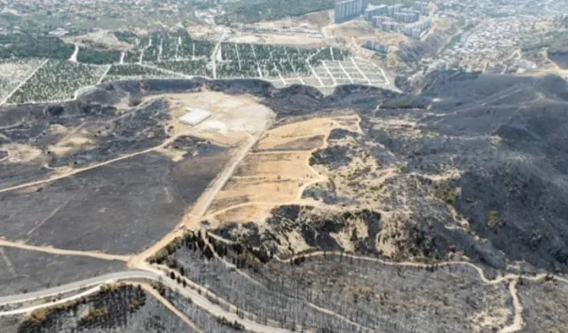 İzmir Orman Bölge Müdürlüğü'nden 'Yamanlar' İddialarına Yalanlama