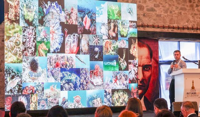 İzmir Körfezi'ne bilimsel bakış