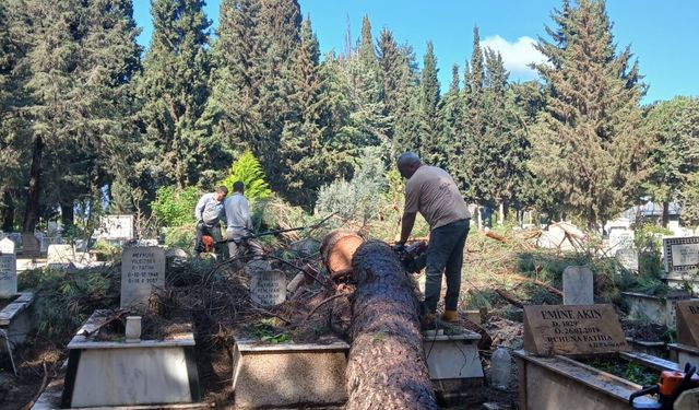 Fırtınadan etkilenen mezarlıklara hızlı müdahale