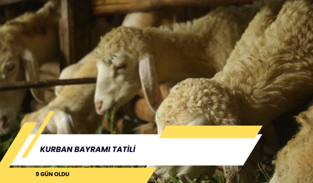 Kurban Bayramı tatili 9 gün oldu