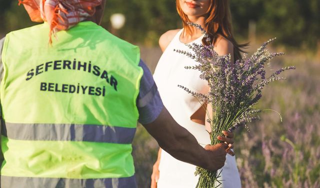 Lavanta Hasat Şenliği için geri sayım başladı