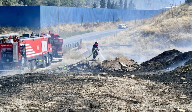İzmir İtfaiyesi bukalemunu hayata döndürdü