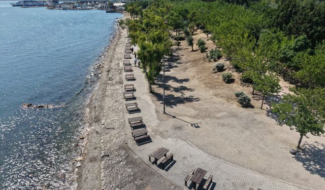 İzmir’in yeşil mirası İnciraltı Kent Ormanı yenileniyor