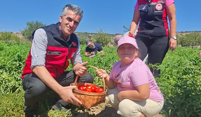 Yamanlar Tarla Domatesi Tarla Günü’nde Üreticilerle Buluştu