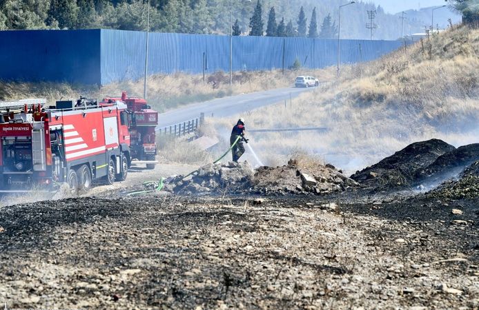 İzmir İtfaiyesi bukalemunu hayata döndürdü