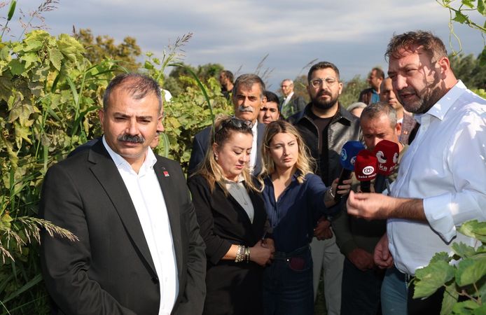 Gümrükçü: “Tatlı Üzümde Acı Fiyat Olmaz, Alım Fiyatı Derhal 150 Liraya Çıkarılmalı”
