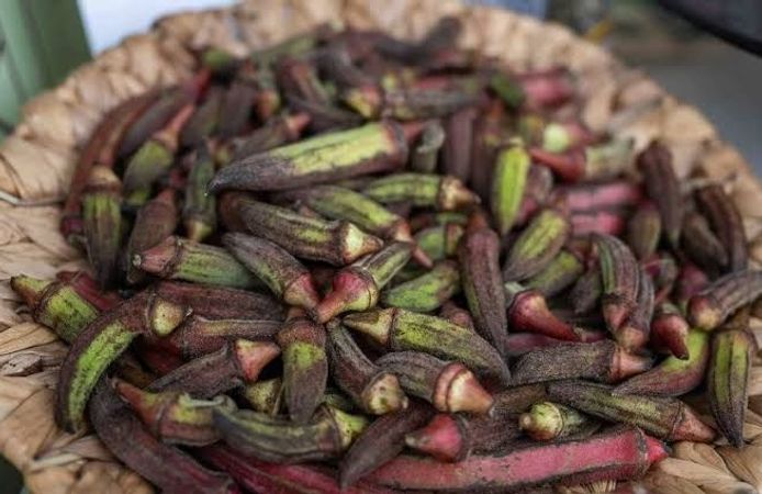 Gastrofest’te Bornova rüzgarı