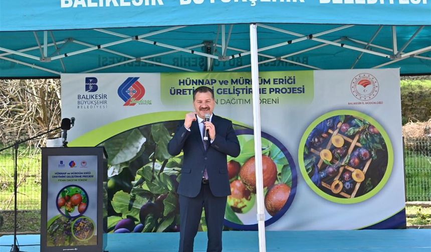 Büyükşehir den çiftçiye hünnap ve mürdüm eriği desteği