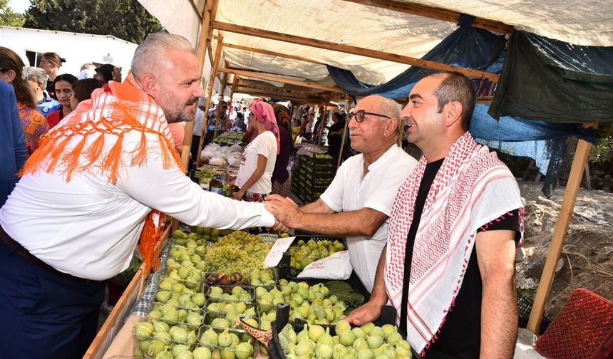 Bozalan İncir Festivali için geri sayım başladı