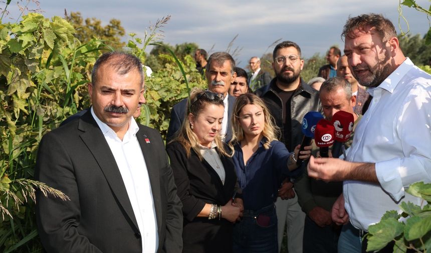 Gümrükçü: “Tatlı Üzümde Acı Fiyat Olmaz, Alım Fiyatı Derhal 150 Liraya Çıkarılmalı”