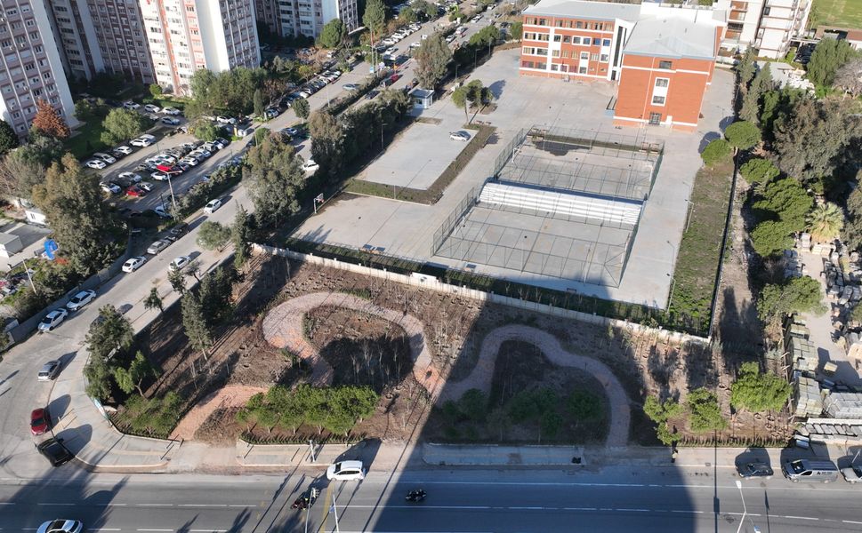 Betonun arasından orman çıktı