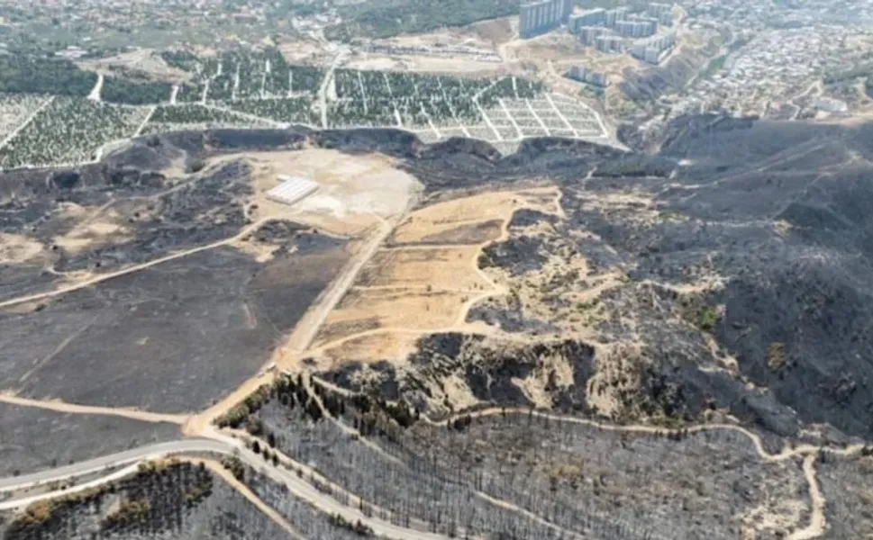 İzmir Orman Bölge Müdürlüğü'nden 'Yamanlar' İddialarına Yalanlama