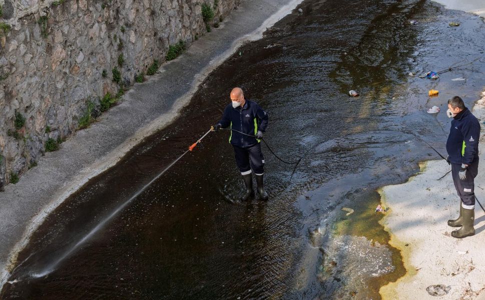“Mevsimsel sinekler zararsız”