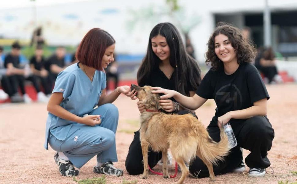 Barınaklardan 3 binin üzerinde hayvan sahiplendirildi