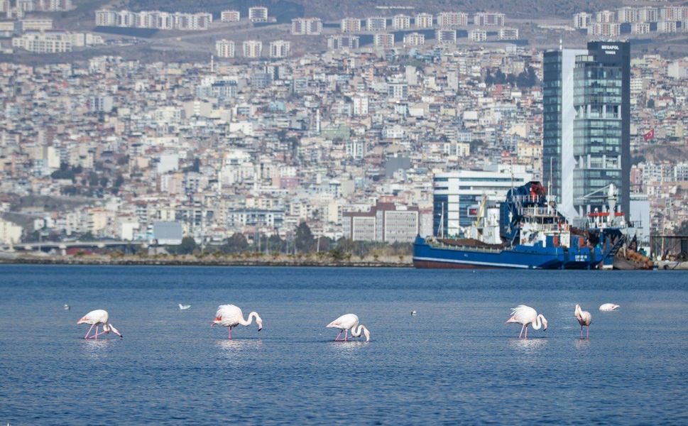 “İzmir Yenileniyor” markası tescillendi