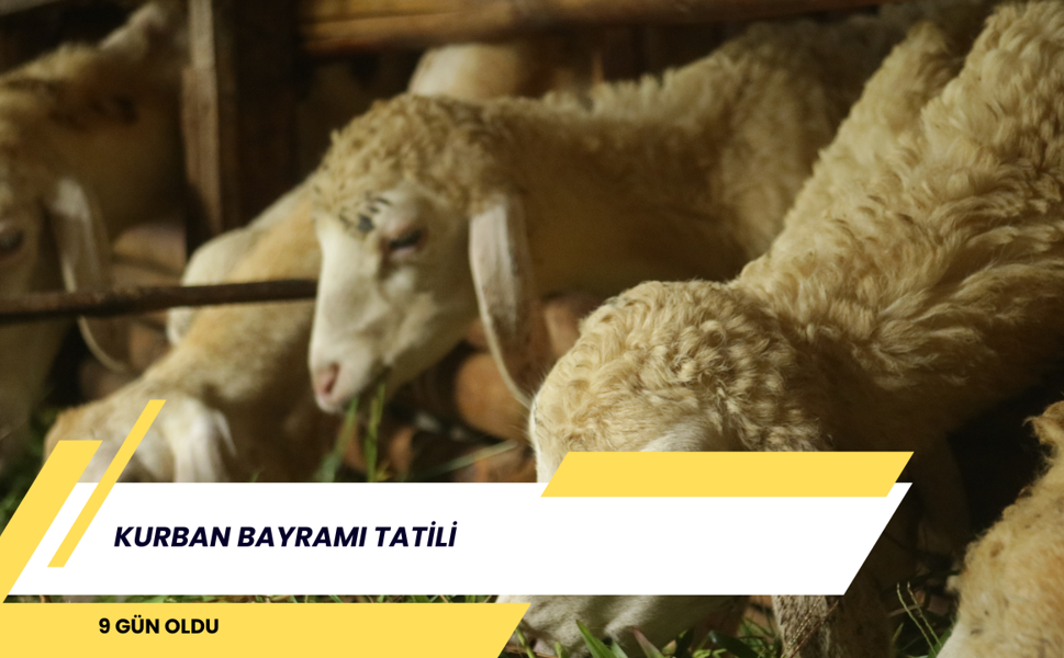 Kurban Bayramı tatili 9 gün oldu