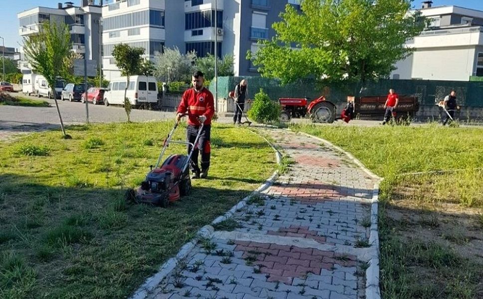 Menderes’te Ot Seferberliği