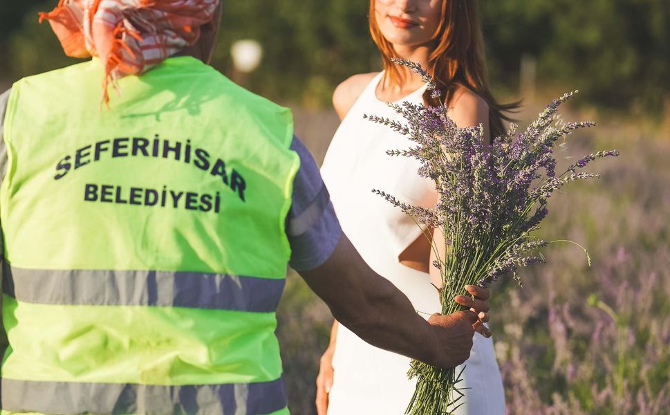 Lavanta Hasat Şenliği için geri sayım başladı