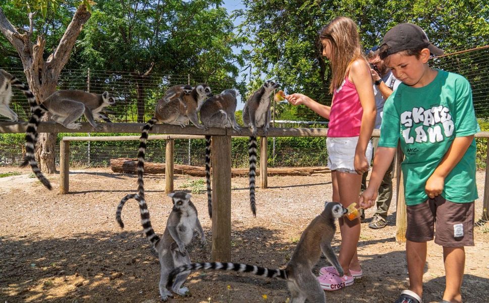İzmir Doğal Yaşam Parkı'nda yazın en serin ziyafeti