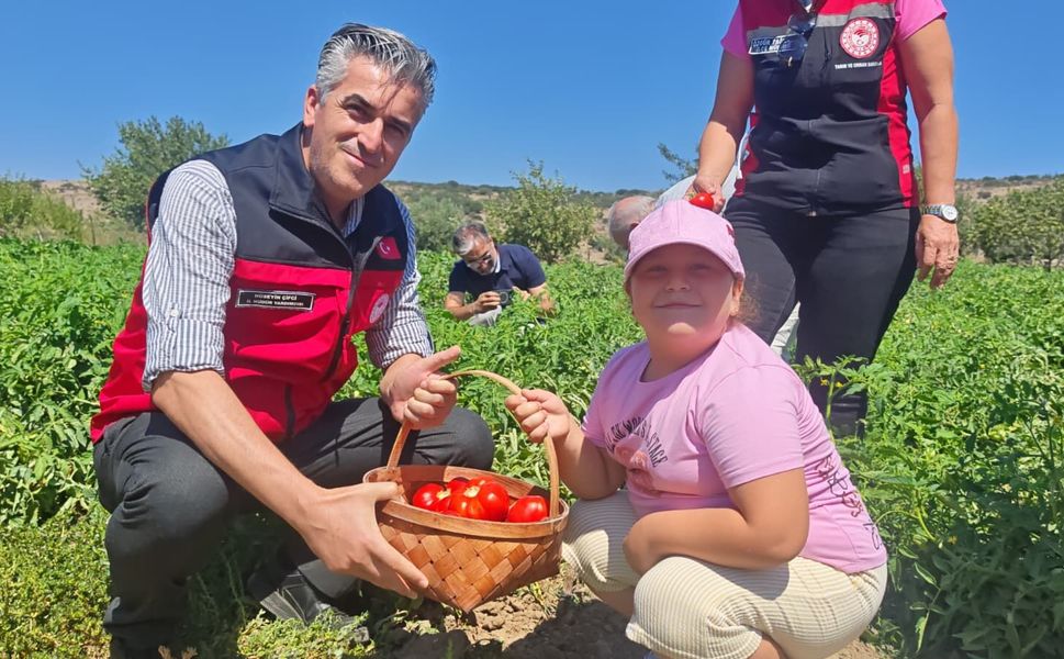 Yamanlar Tarla Domatesi Tarla Günü’nde Üreticilerle Buluştu