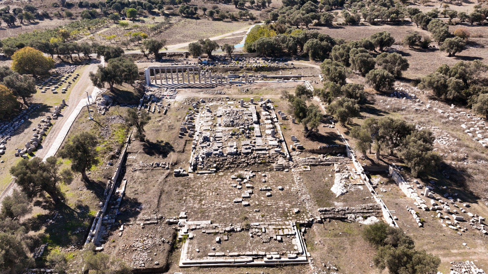 31.12.2025 2Bc06615 Eebf 4F22 94D0 6627525D21D1