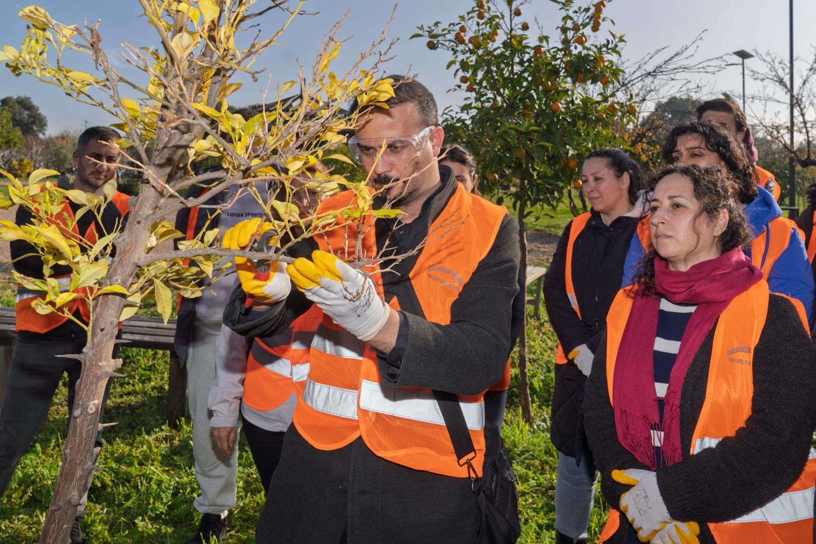 Izmir Istihdam Modeli 3