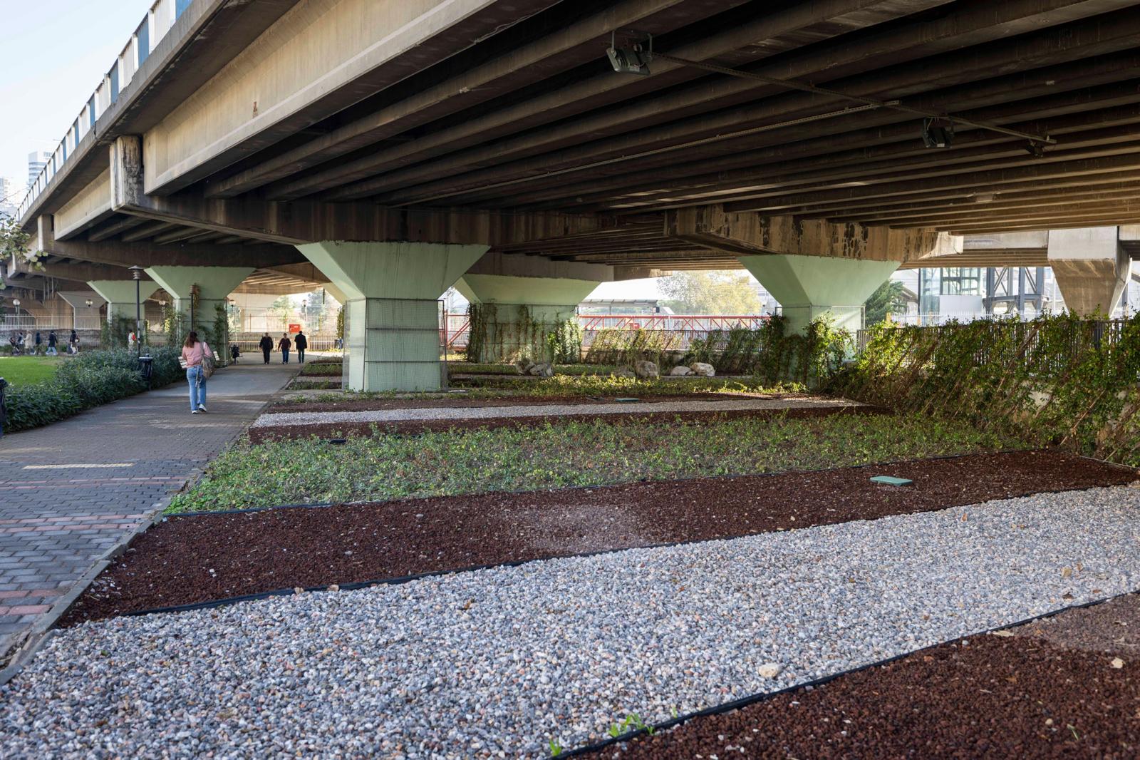 Izmirin Cehresi Su Tasarruflu Bitkilerle Guzellesiyor