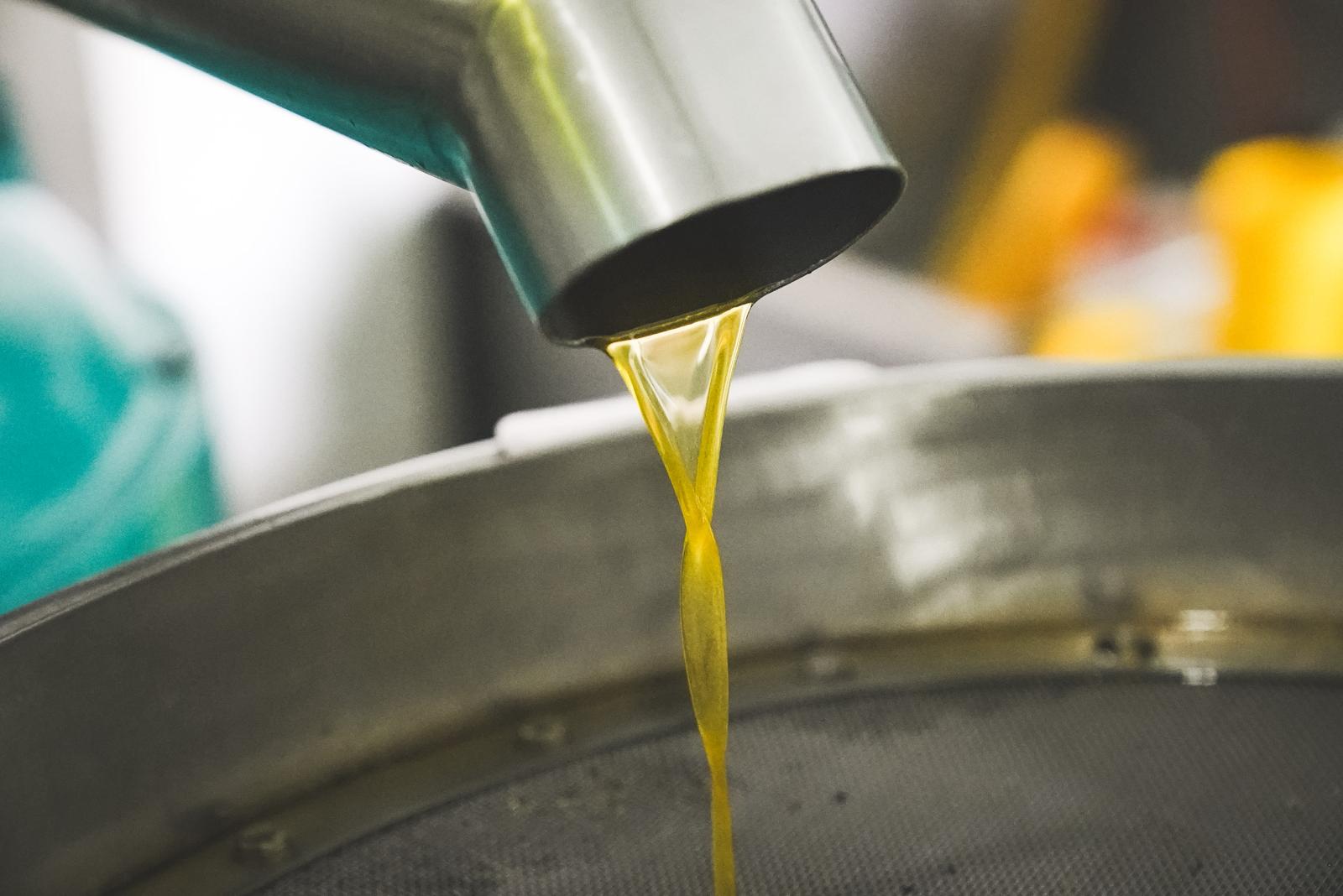 Seferihisar Zeytin 2