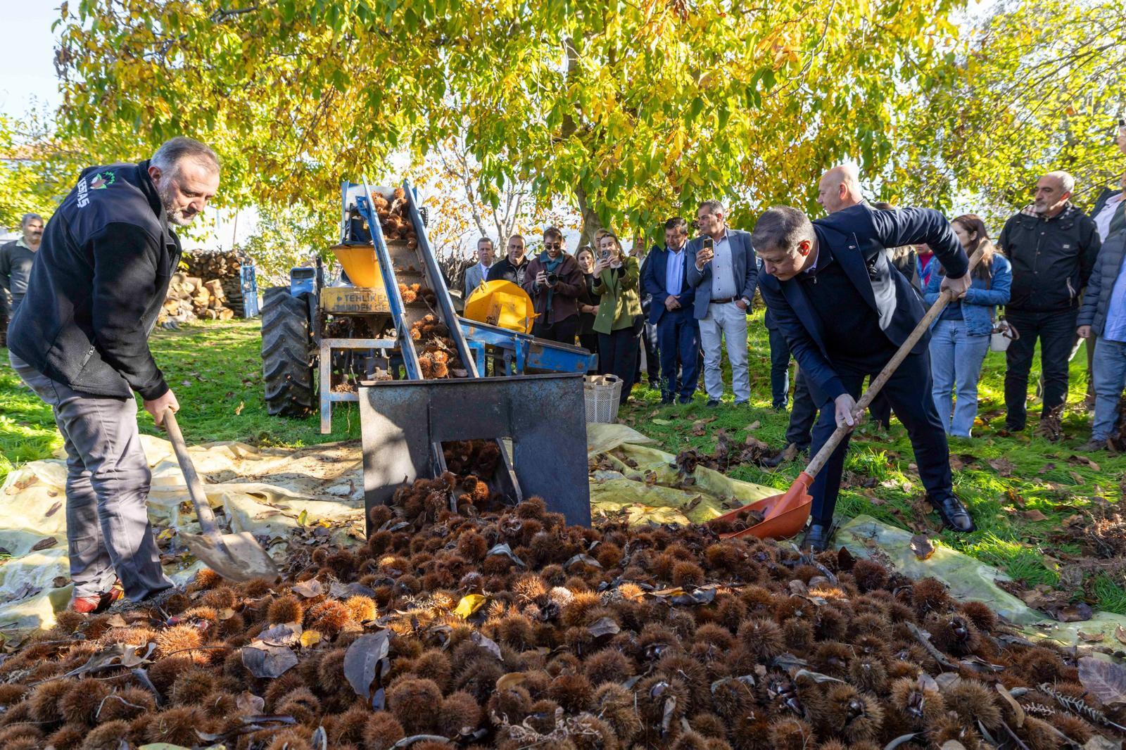 6.02.2026 42742Be5 E095 4E4F Ba6E A4E677146E5E