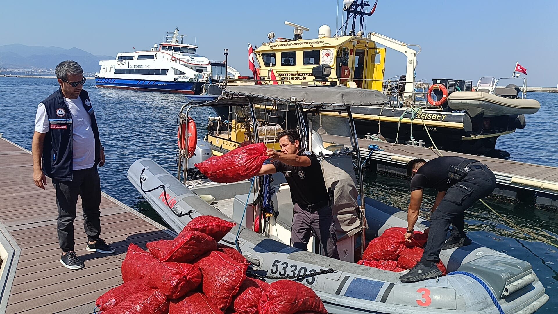 Su Ürünleri 2